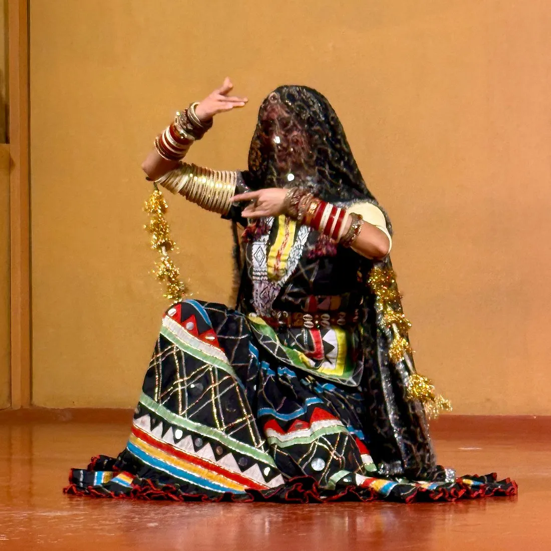 Cultural Dinner with Folk Dance at Virasat